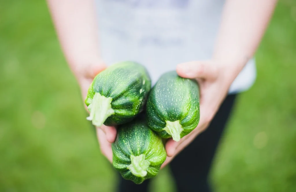 Alimentos orgânicos